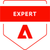 Adobe Certified Expert: Business Practitioner, Developer, Front End Developer